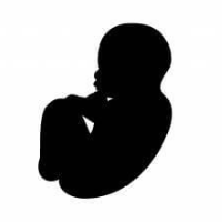 新型出生前診断は胎児に影響がない危険性の低い検査